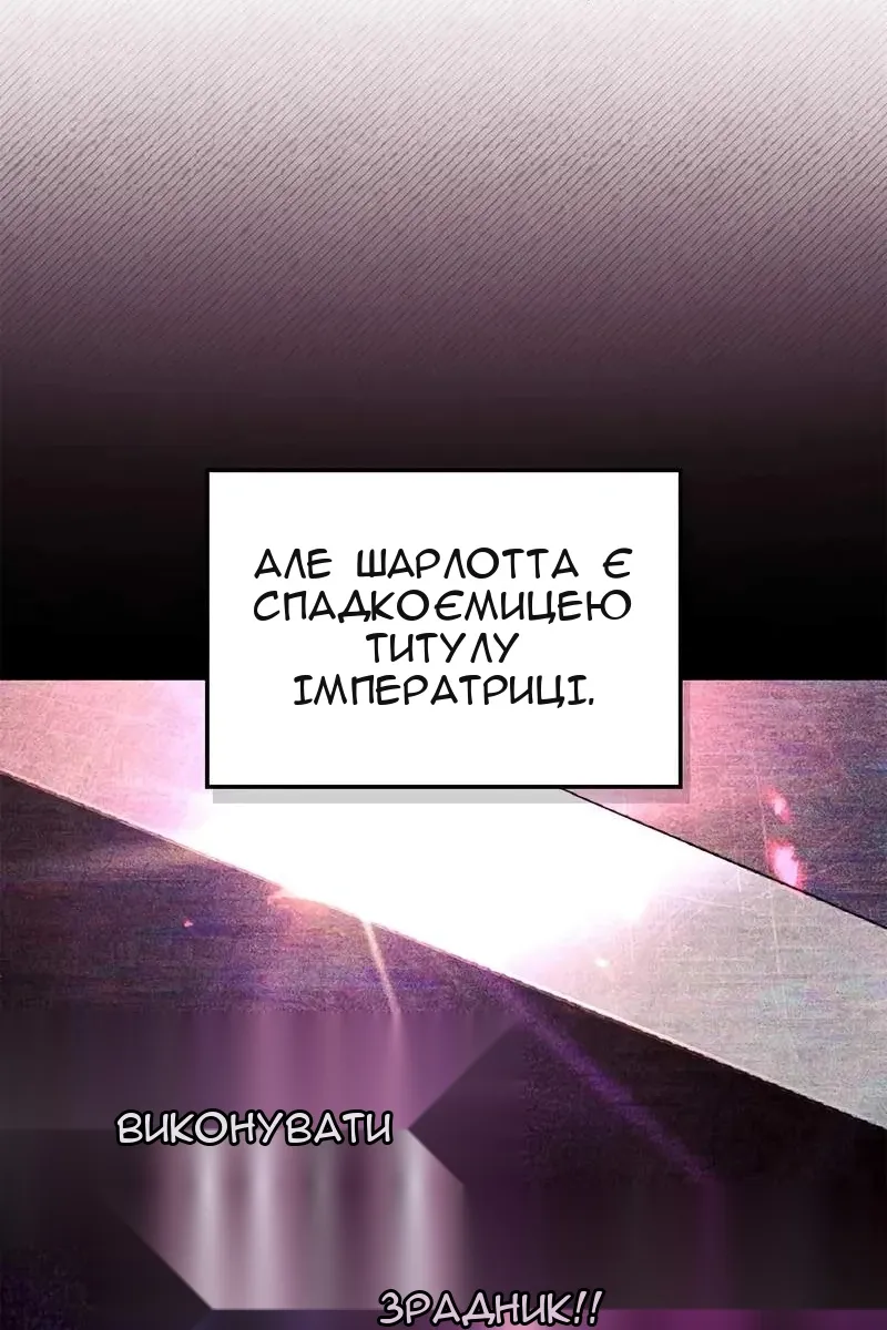 Сторінка 17