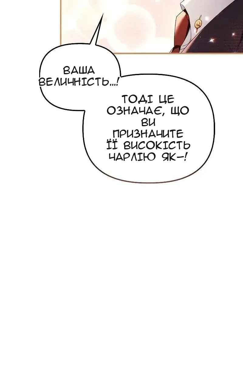 Сторінка 17