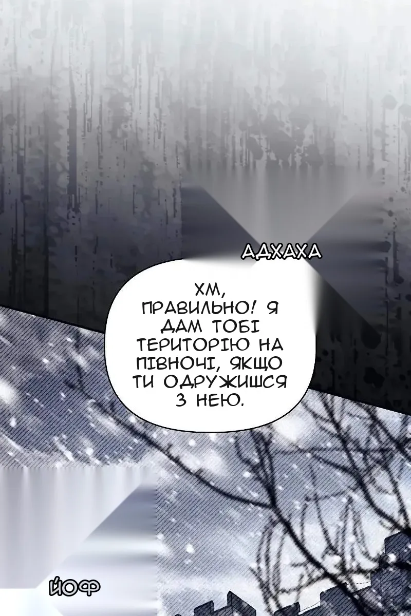 Сторінка 28