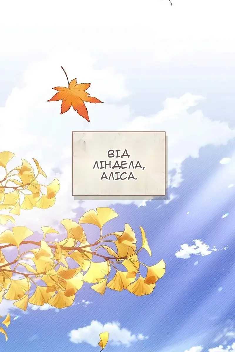 Сторінка 19