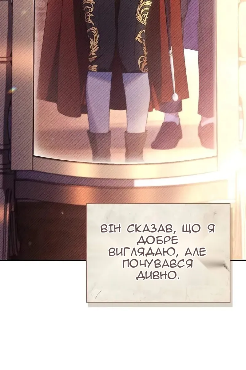 Сторінка 28