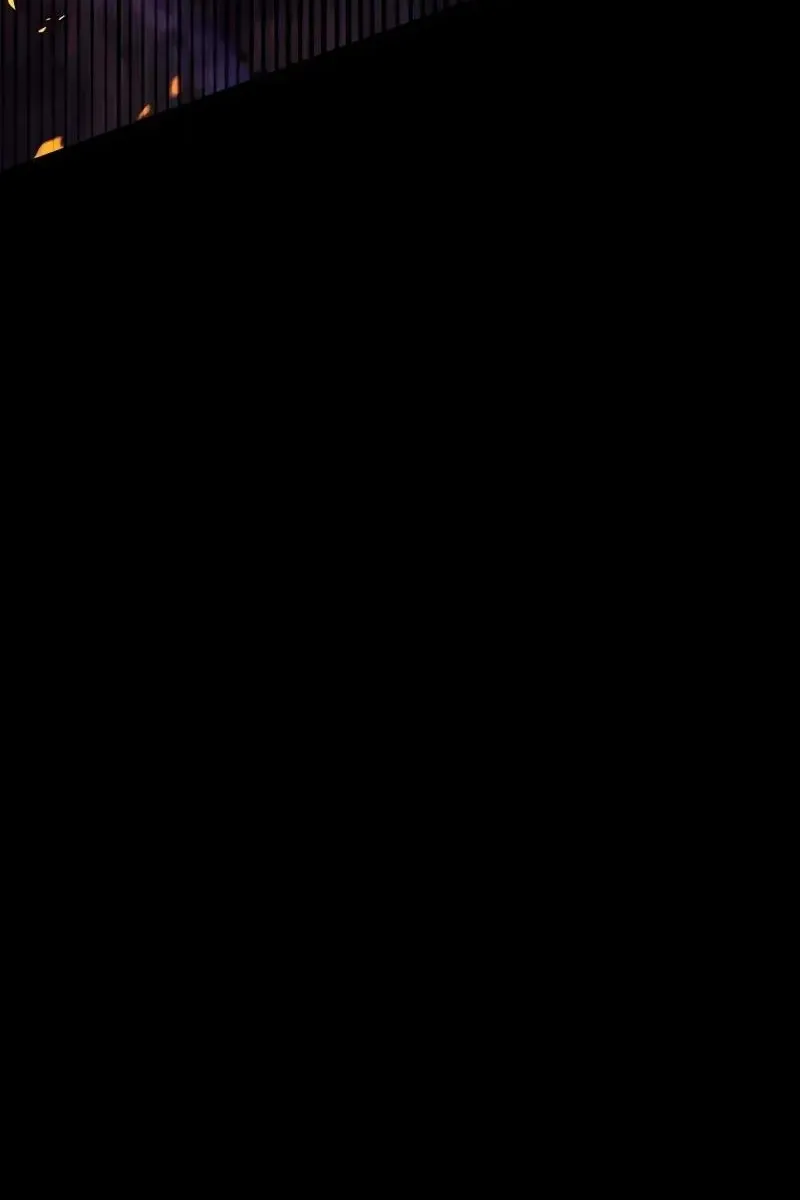 Сторінка 51