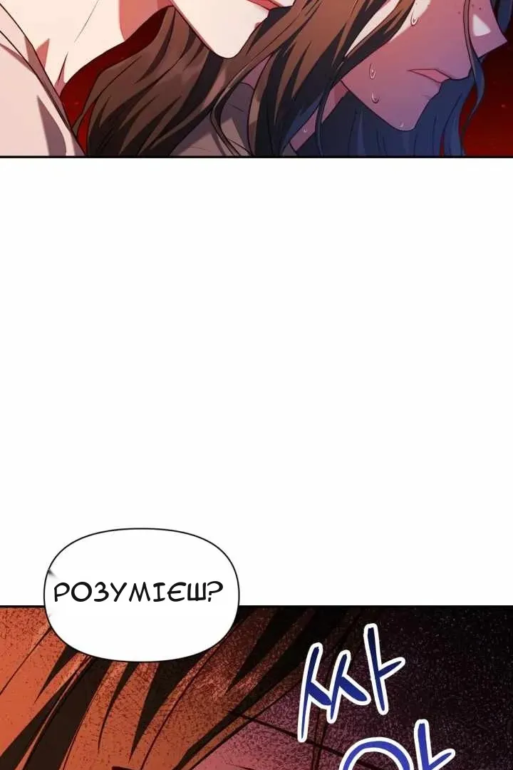 Сторінка 40