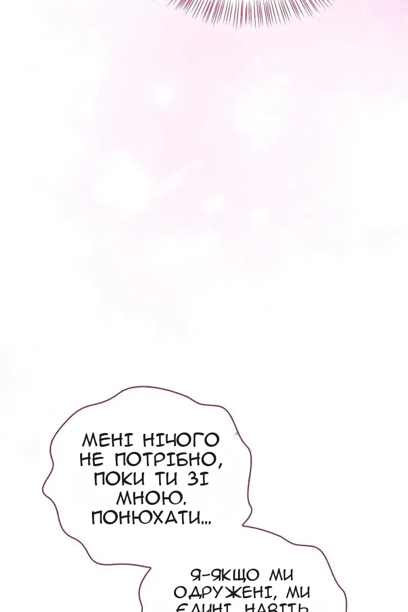 Сторінка 31