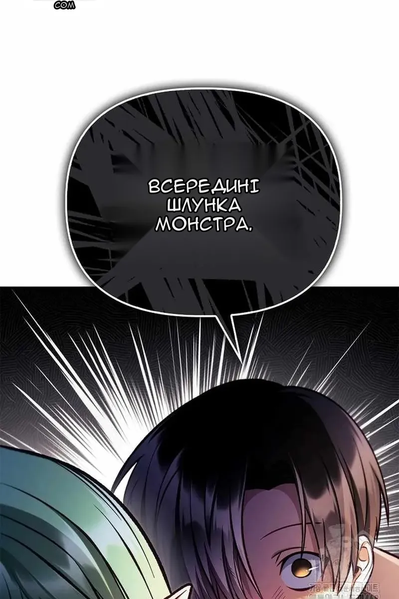 Сторінка 5