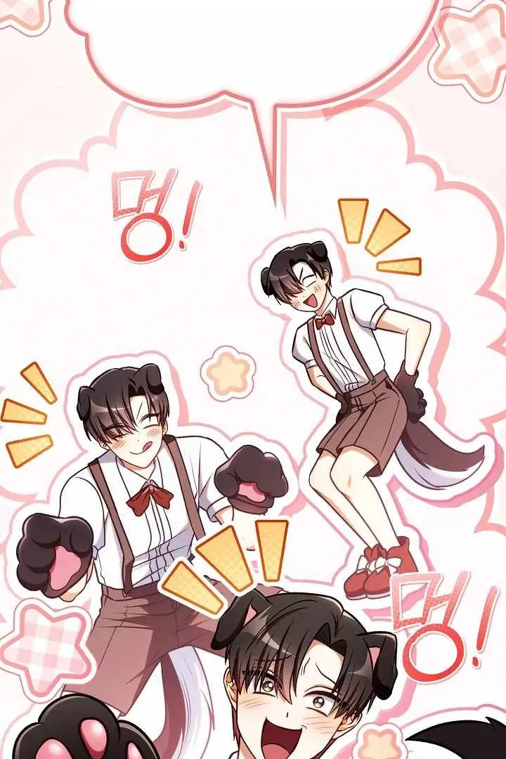 Сторінка 17