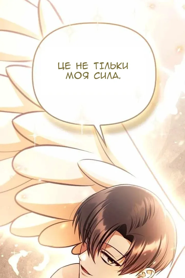 Сторінка 117