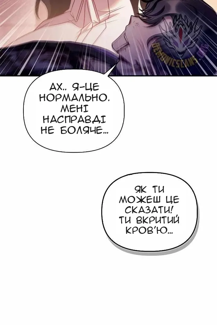 Сторінка 17