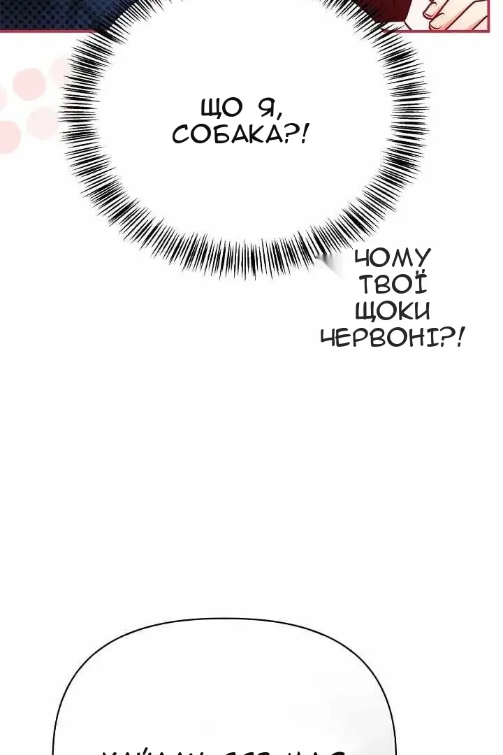 Сторінка 39