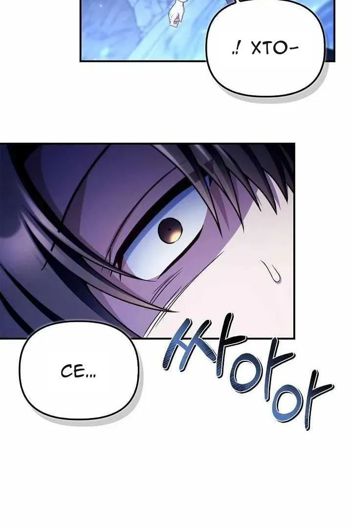 Сторінка 111