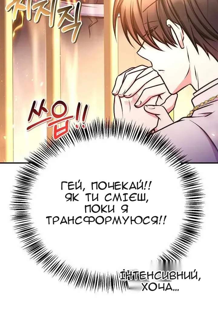 Сторінка 77