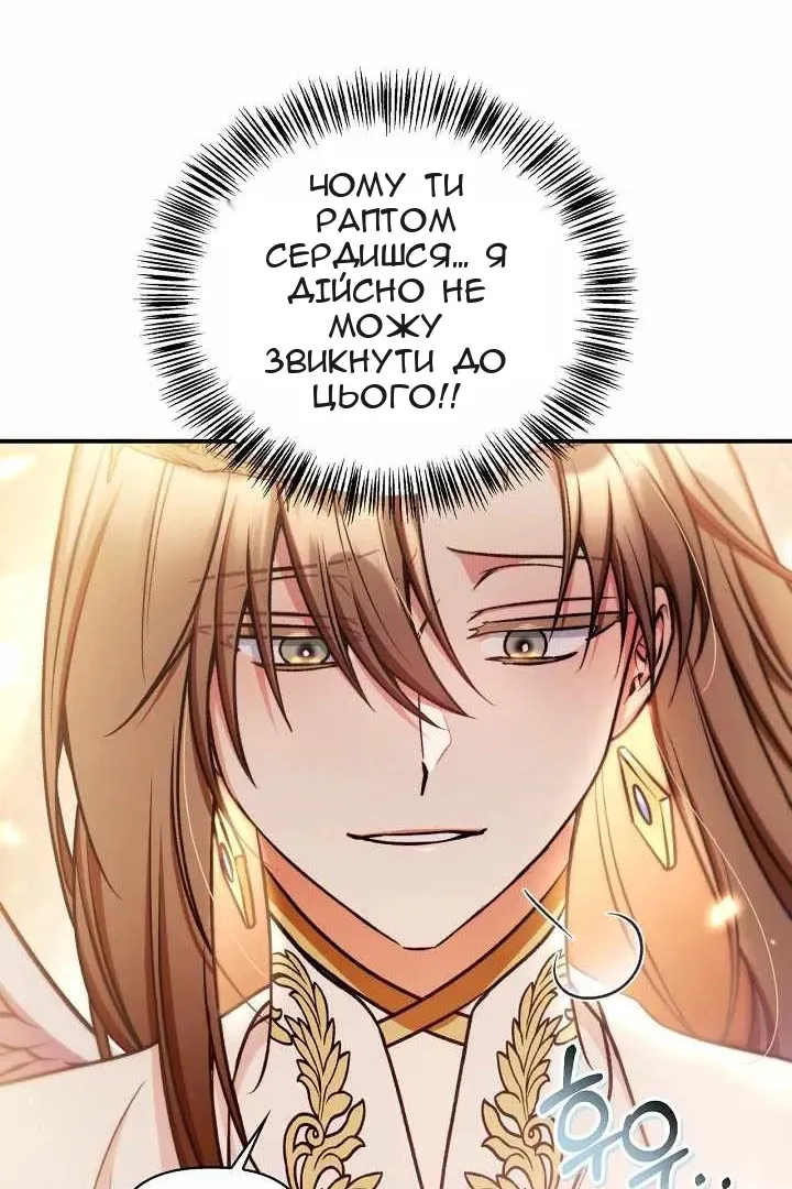 Сторінка 71
