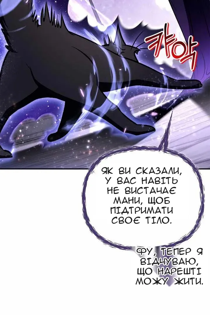Сторінка 117