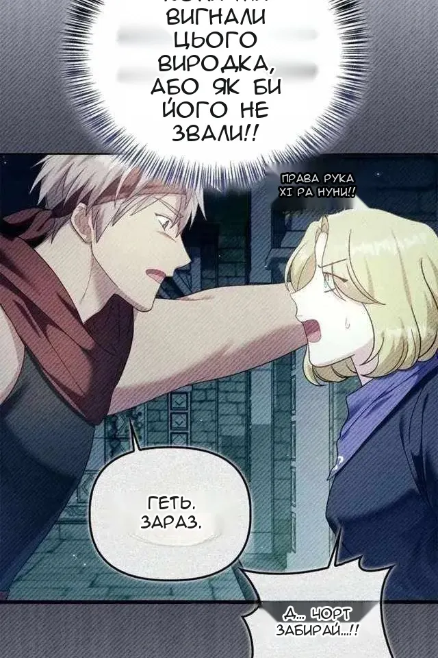 Сторінка 41