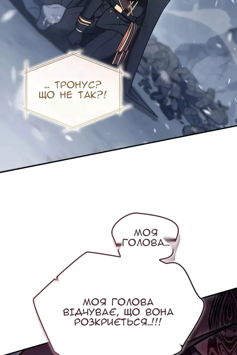 Сторінка 29