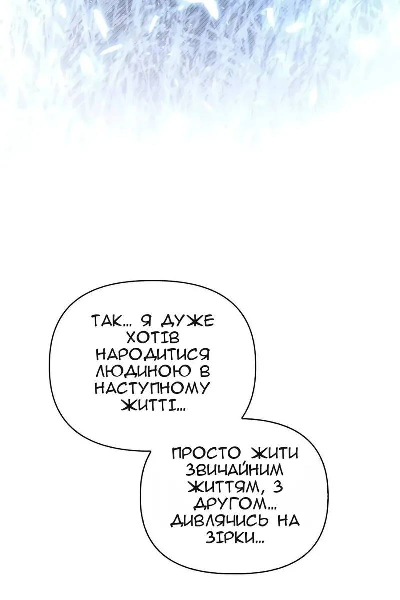 Сторінка 146