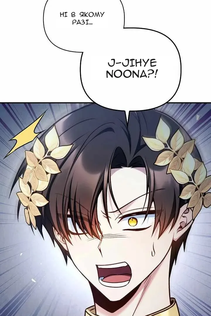 Сторінка 17