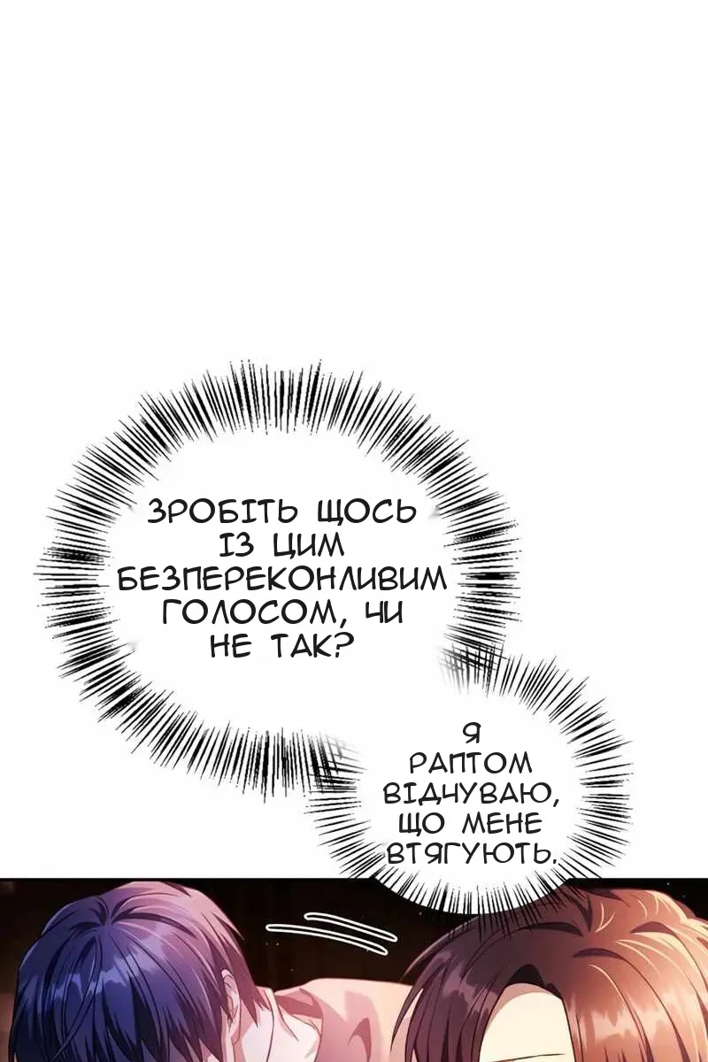 Сторінка 17