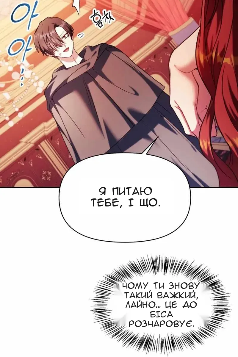 Сторінка 29