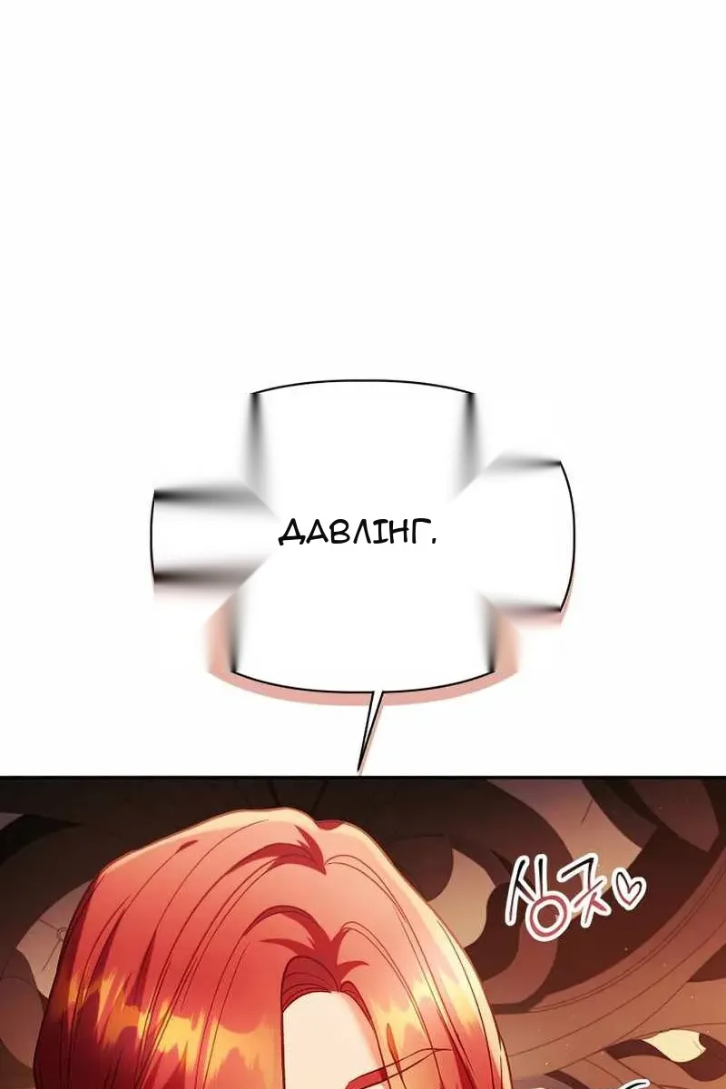 Сторінка 17