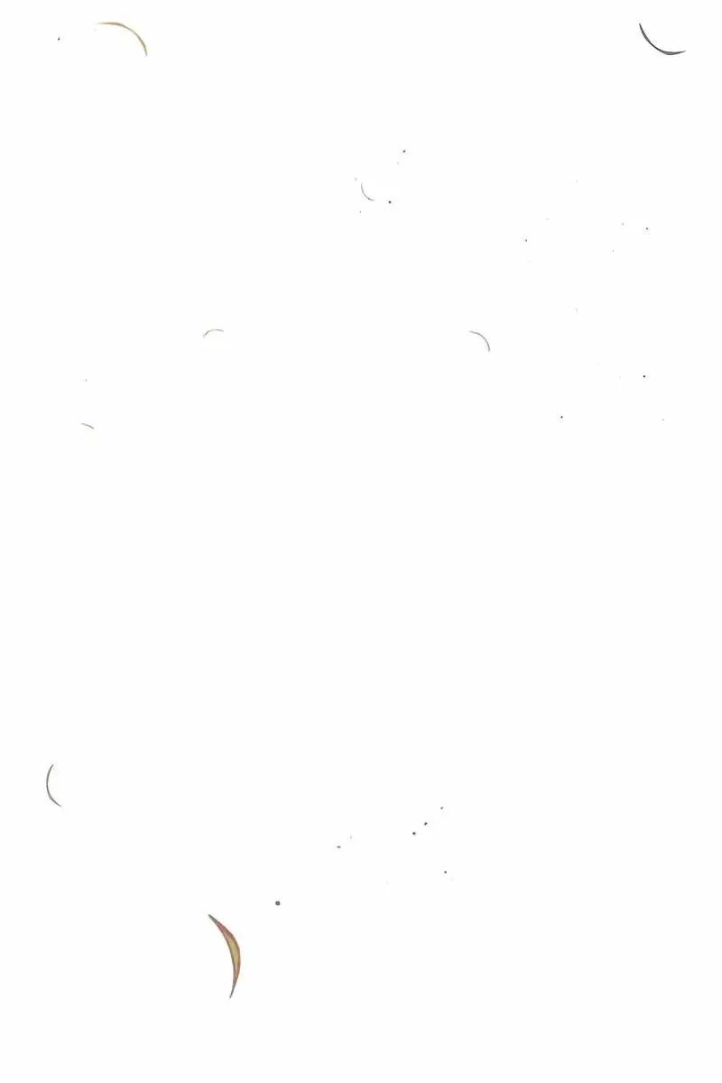 Сторінка 116
