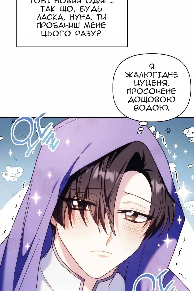 Сторінка 51