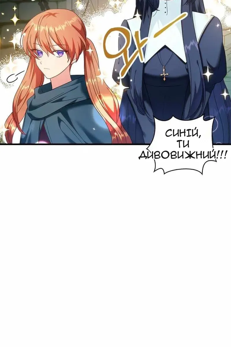 Сторінка 73