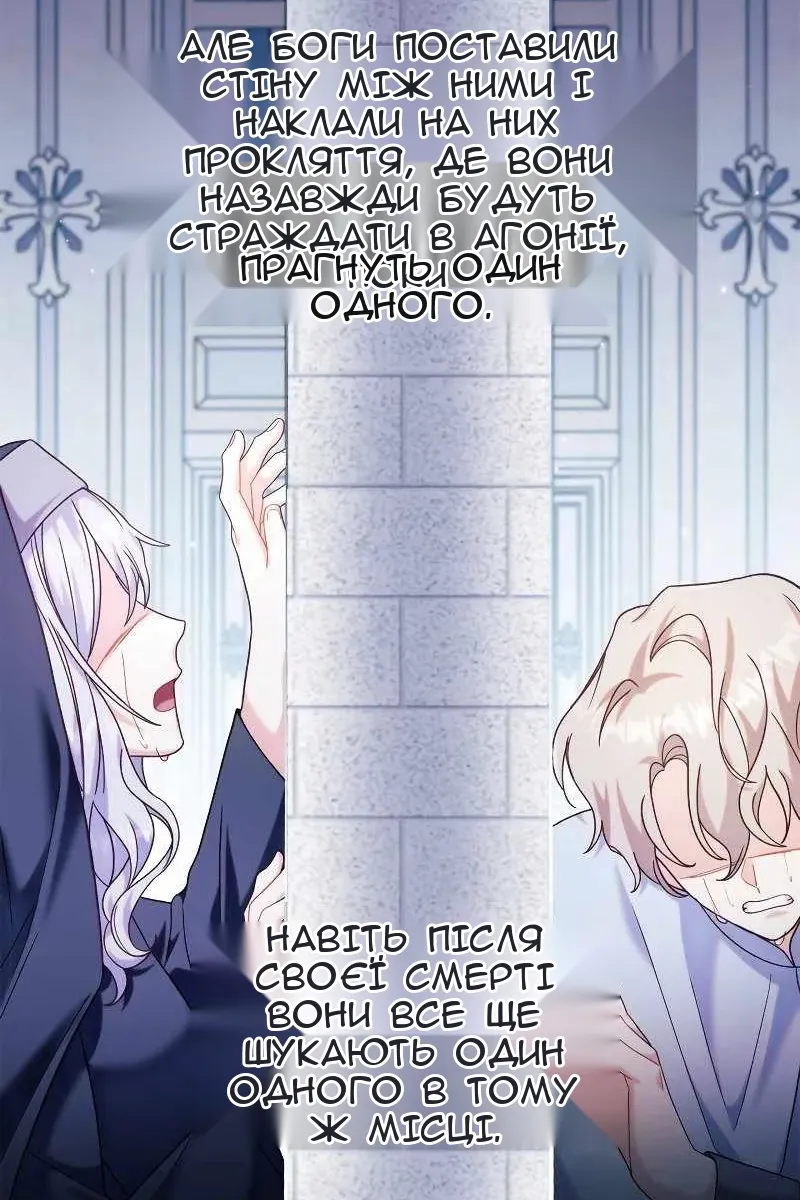 Сторінка 46