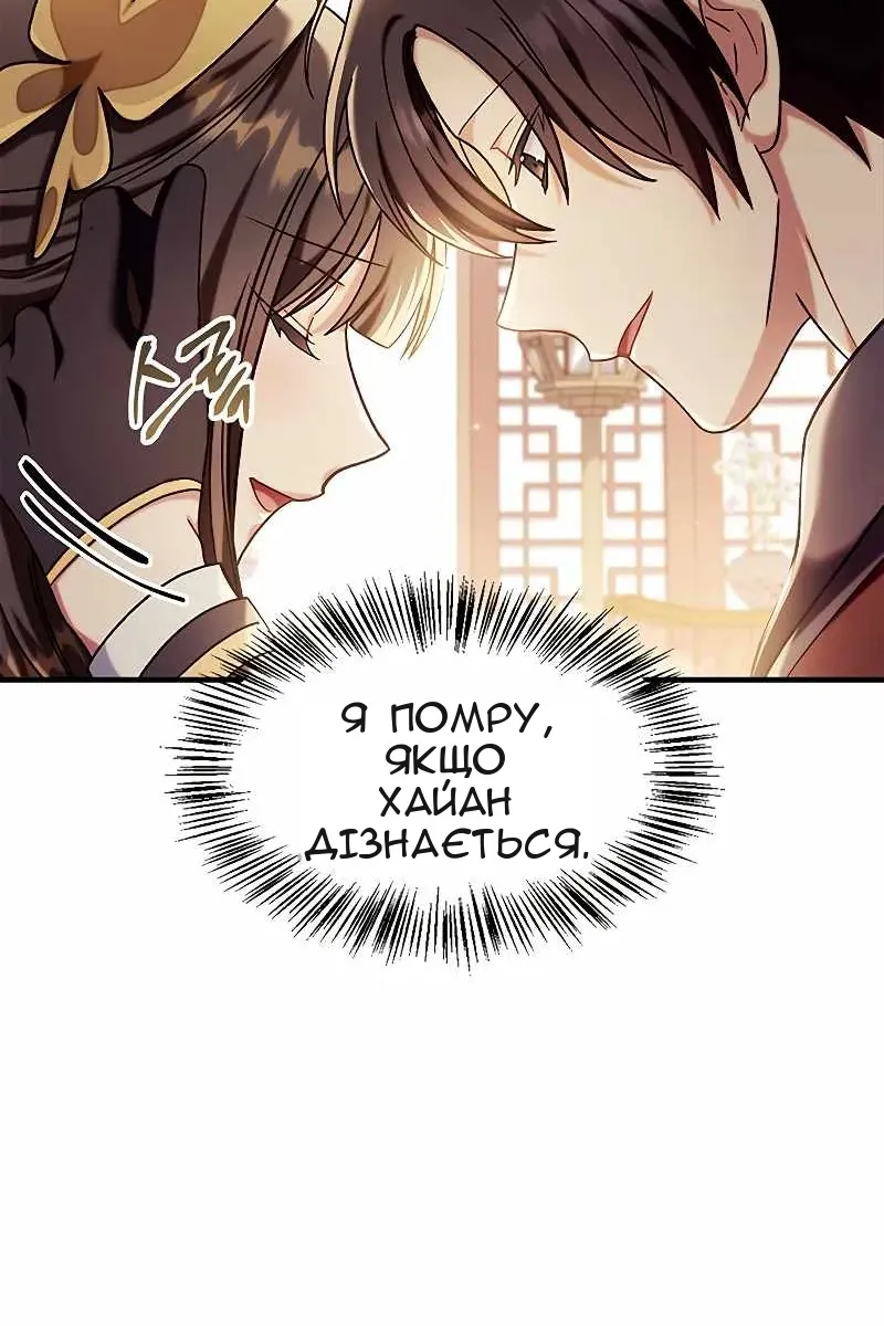 Сторінка 17