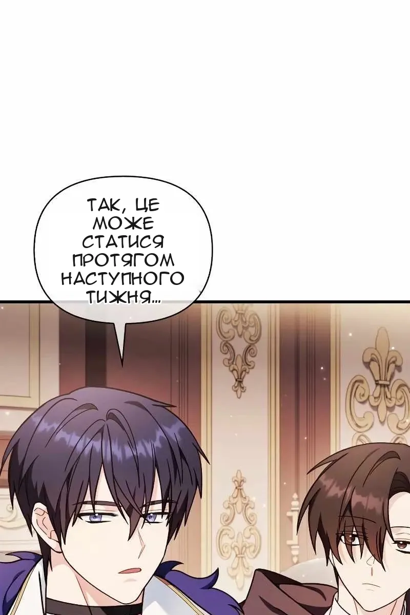 Сторінка 8