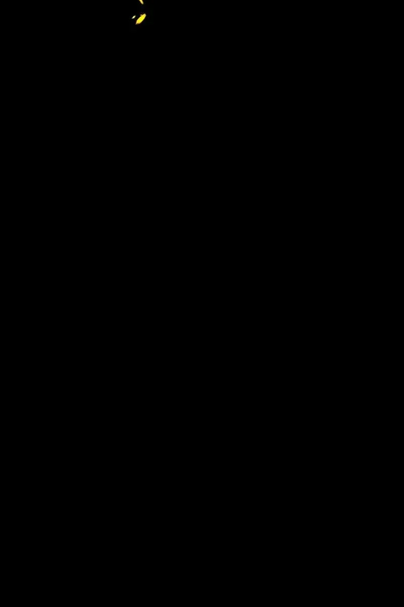 Сторінка 100