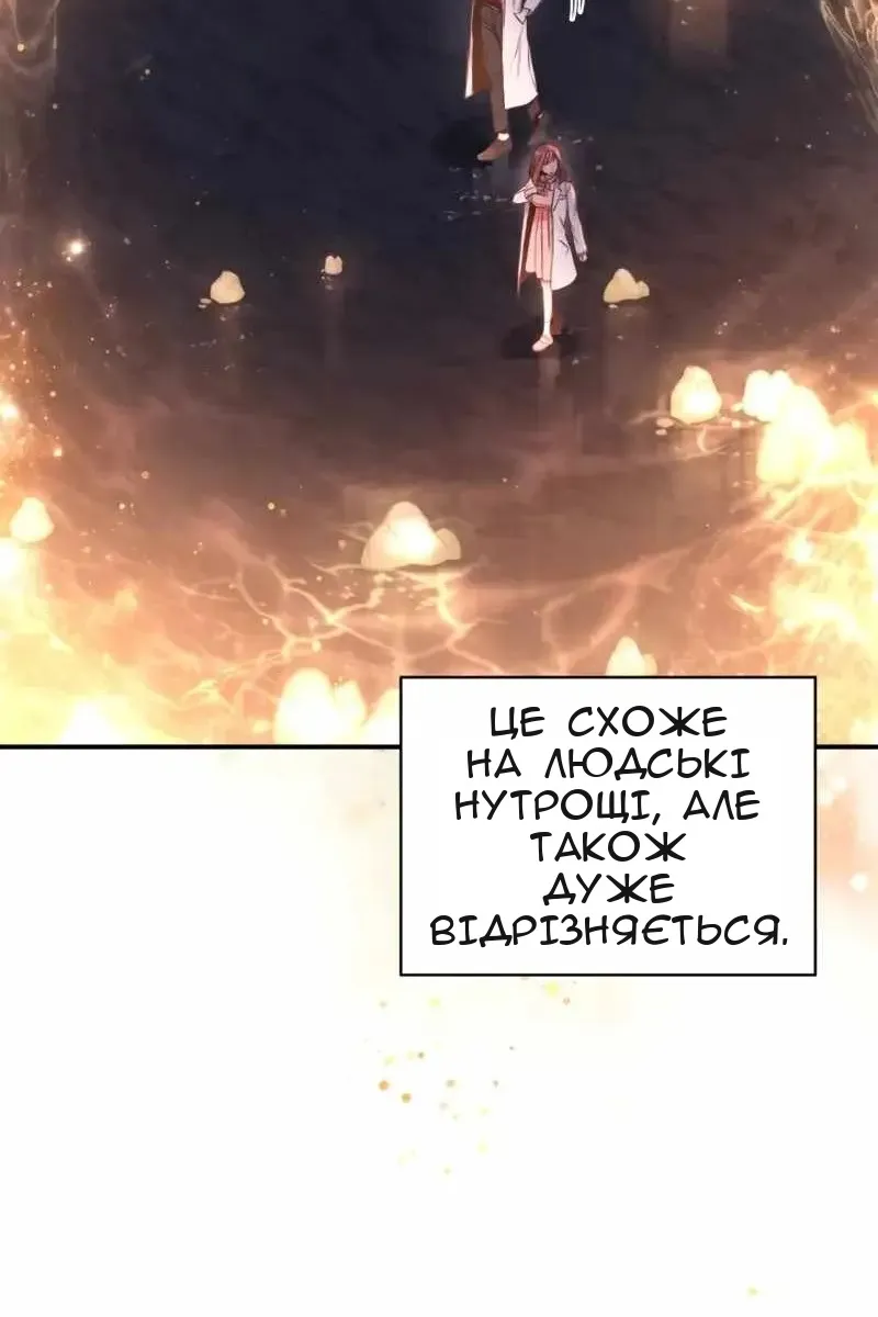 Сторінка 13