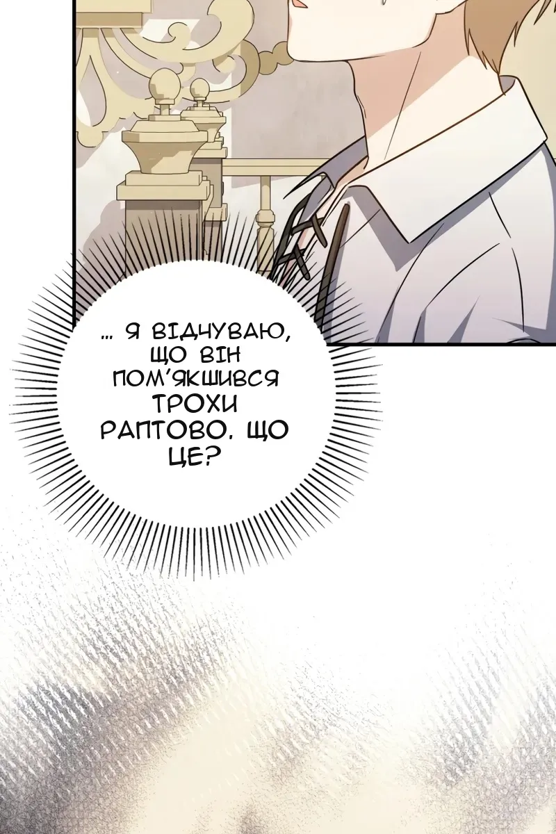 Сторінка 41