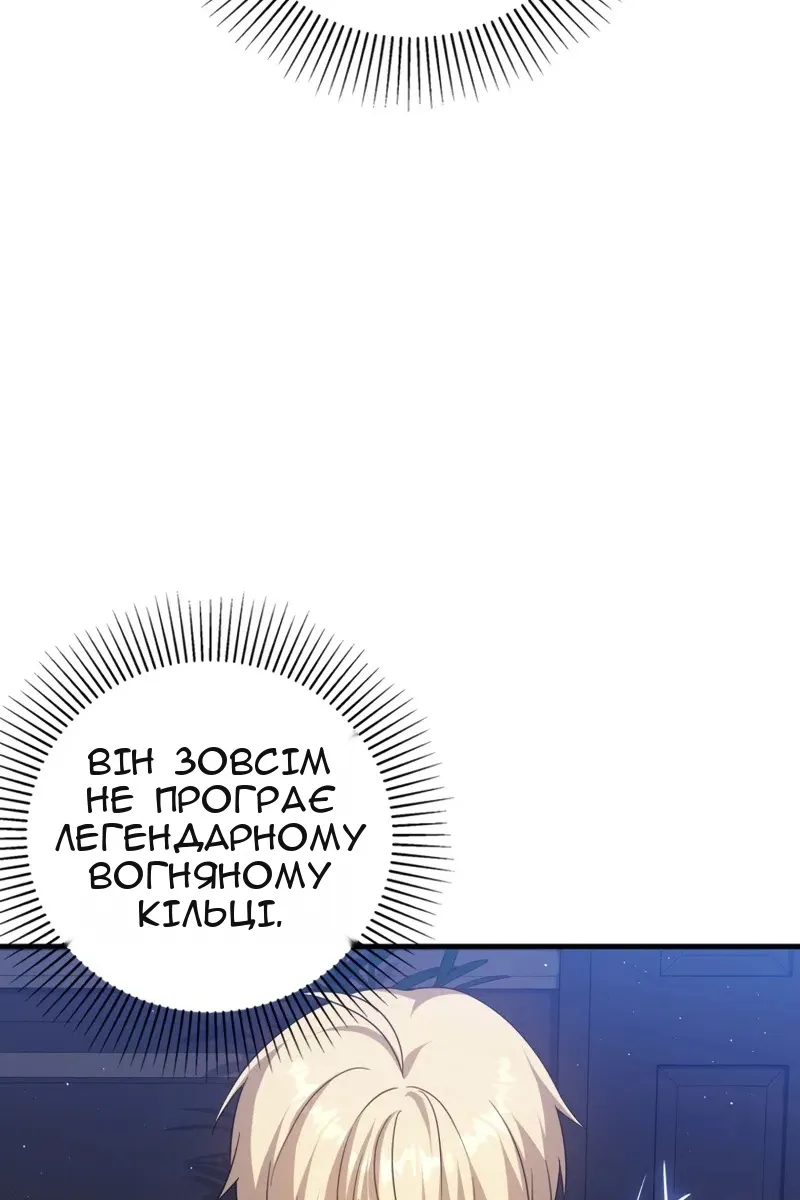 Сторінка 29