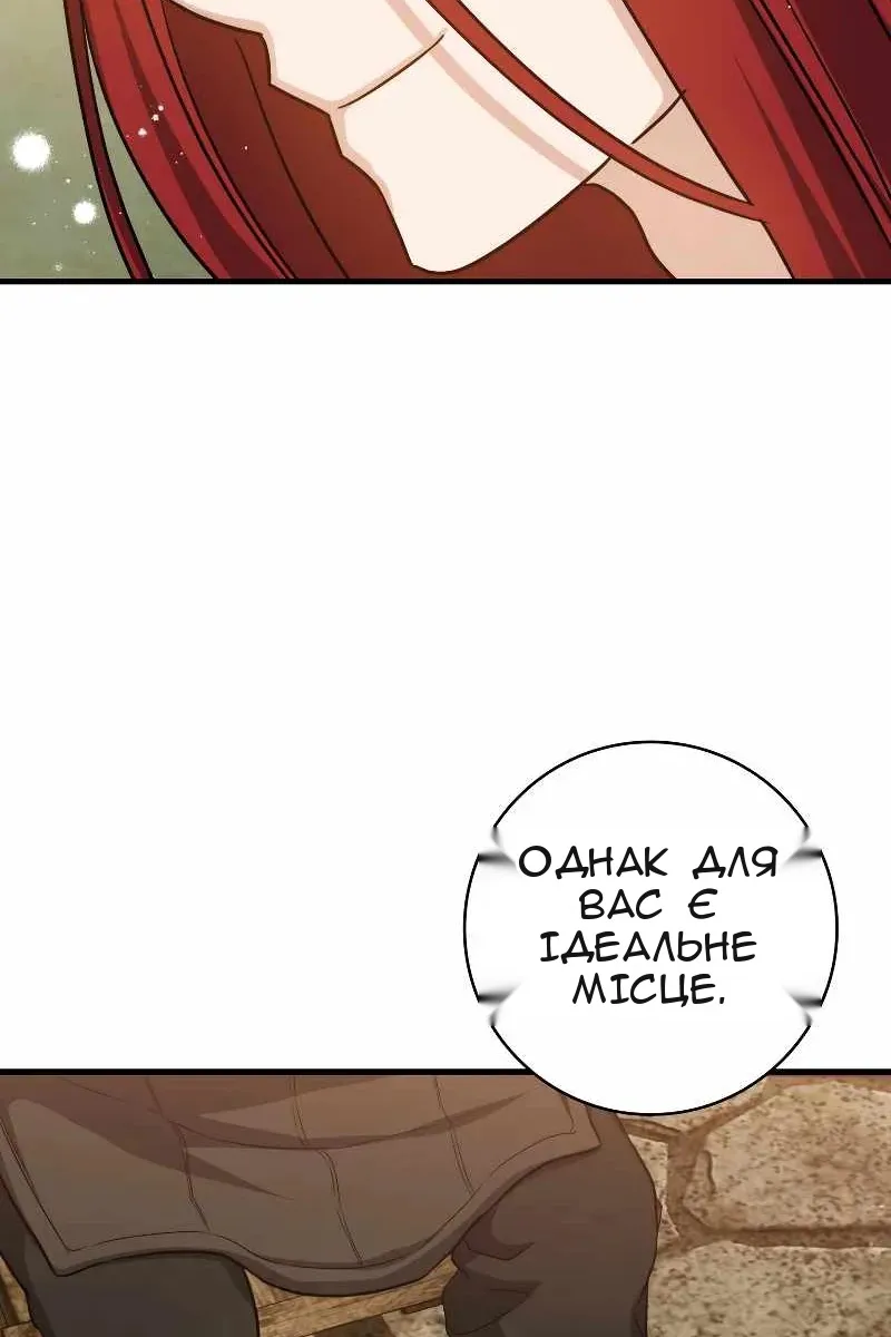 Сторінка 47