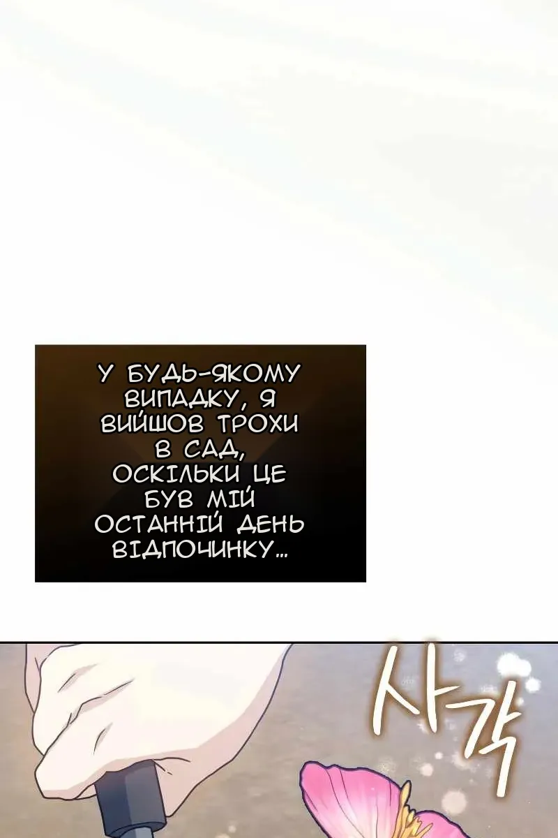 Сторінка 28