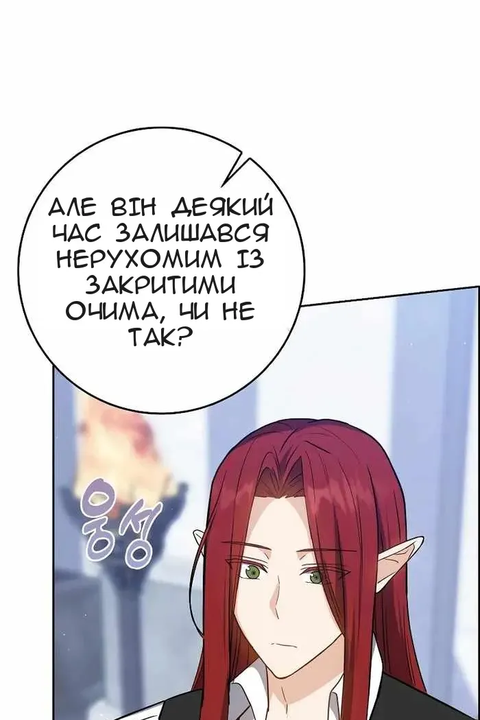 Сторінка 29