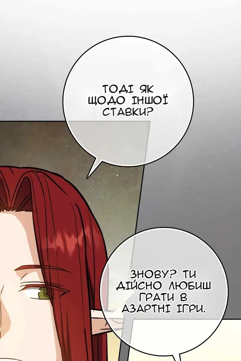 Сторінка 29