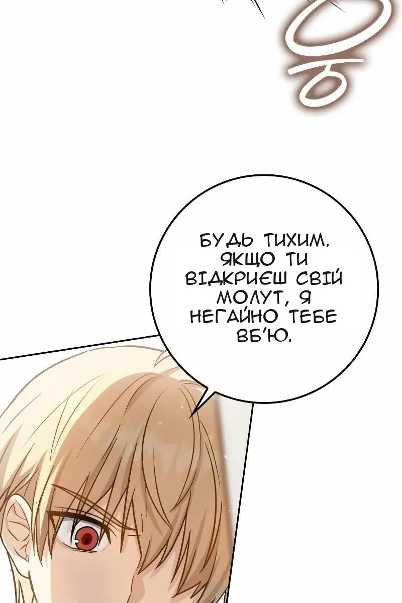 Сторінка 8