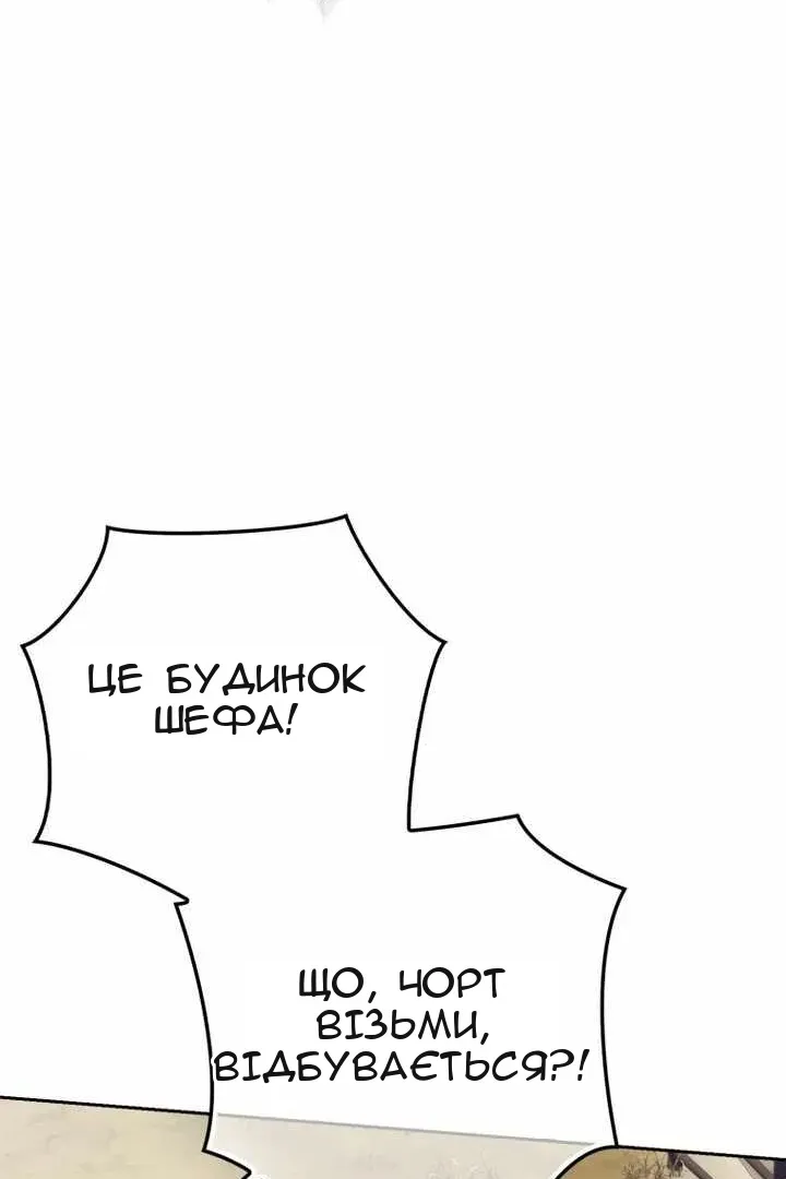 Сторінка 111