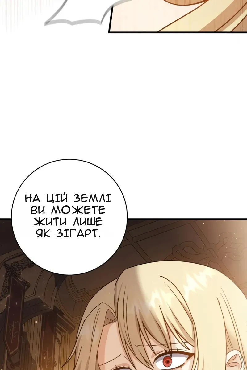 Сторінка 27