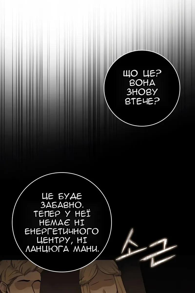 Сторінка 29