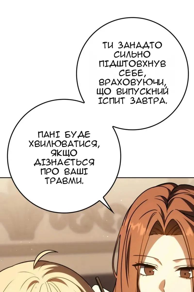Сторінка 17