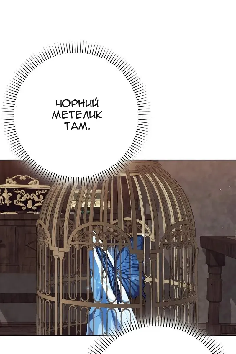 Сторінка 28