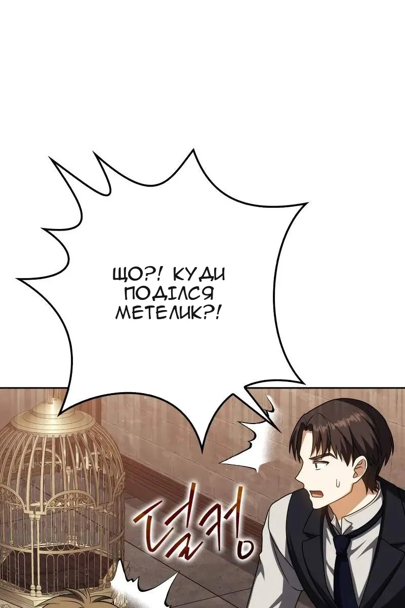 Сторінка 41