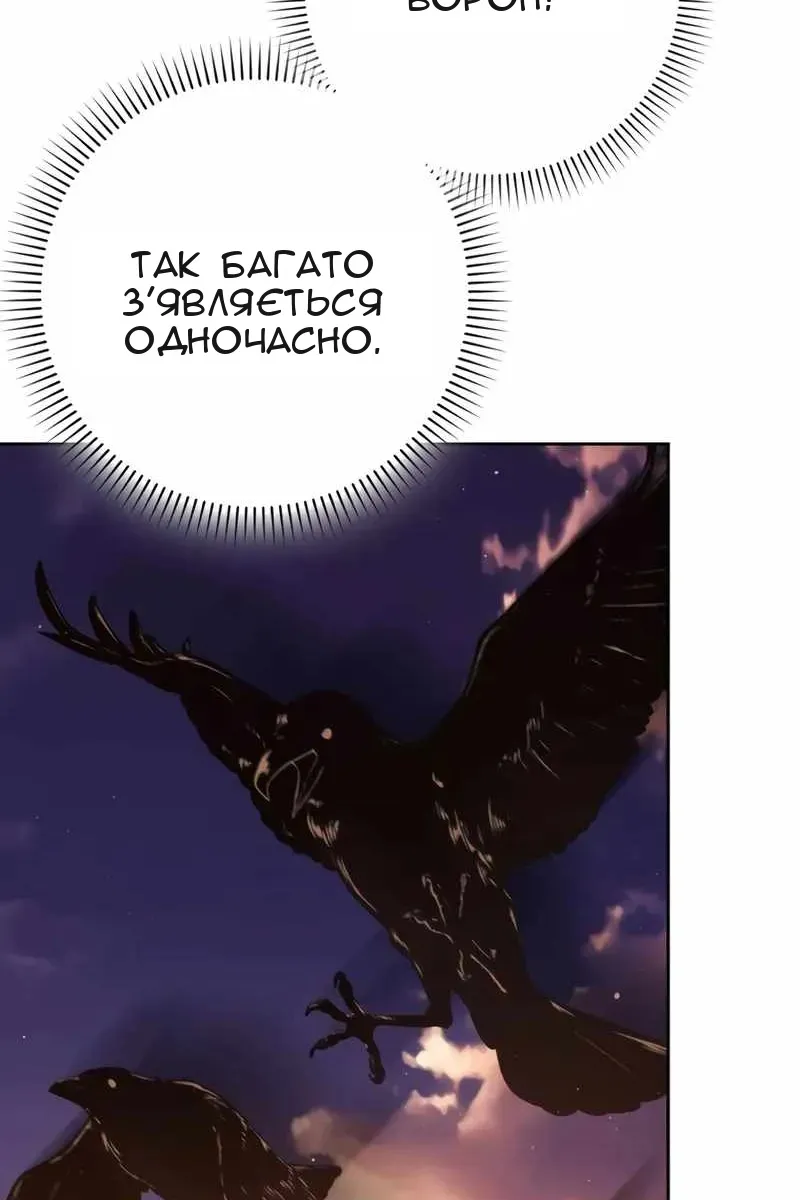 Сторінка 13