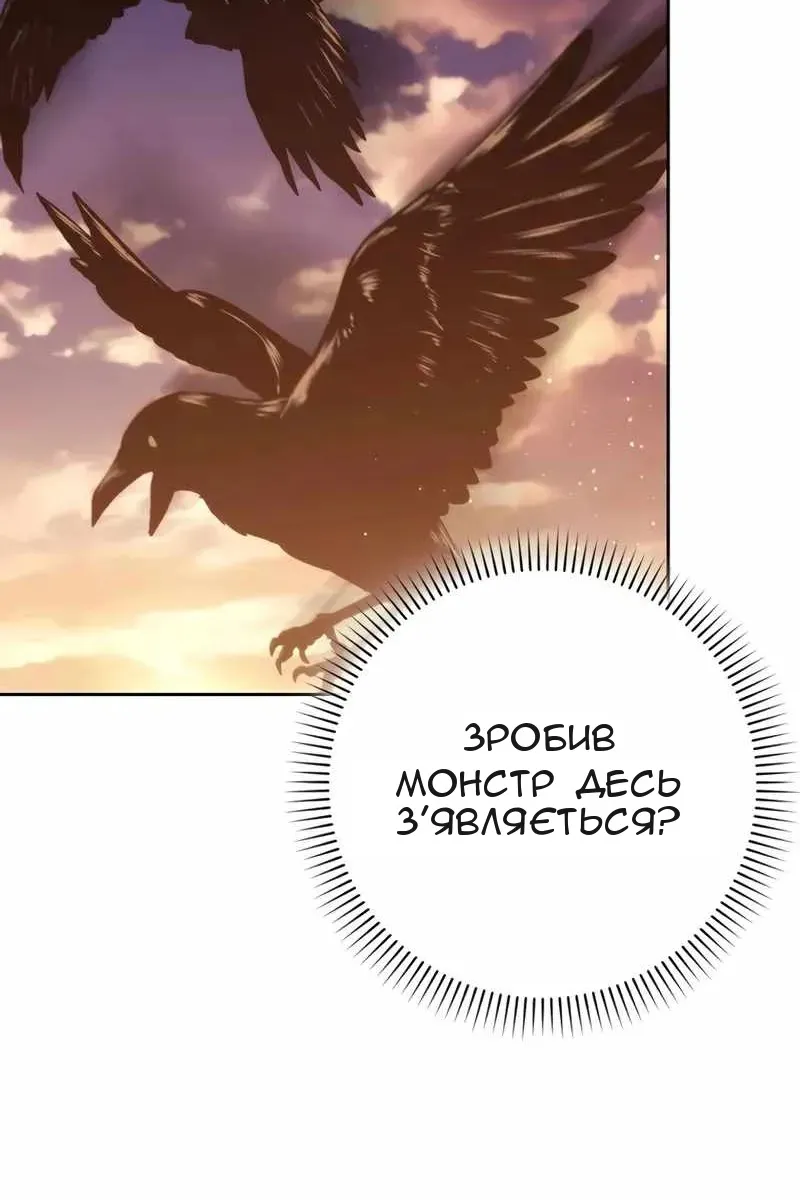 Сторінка 14