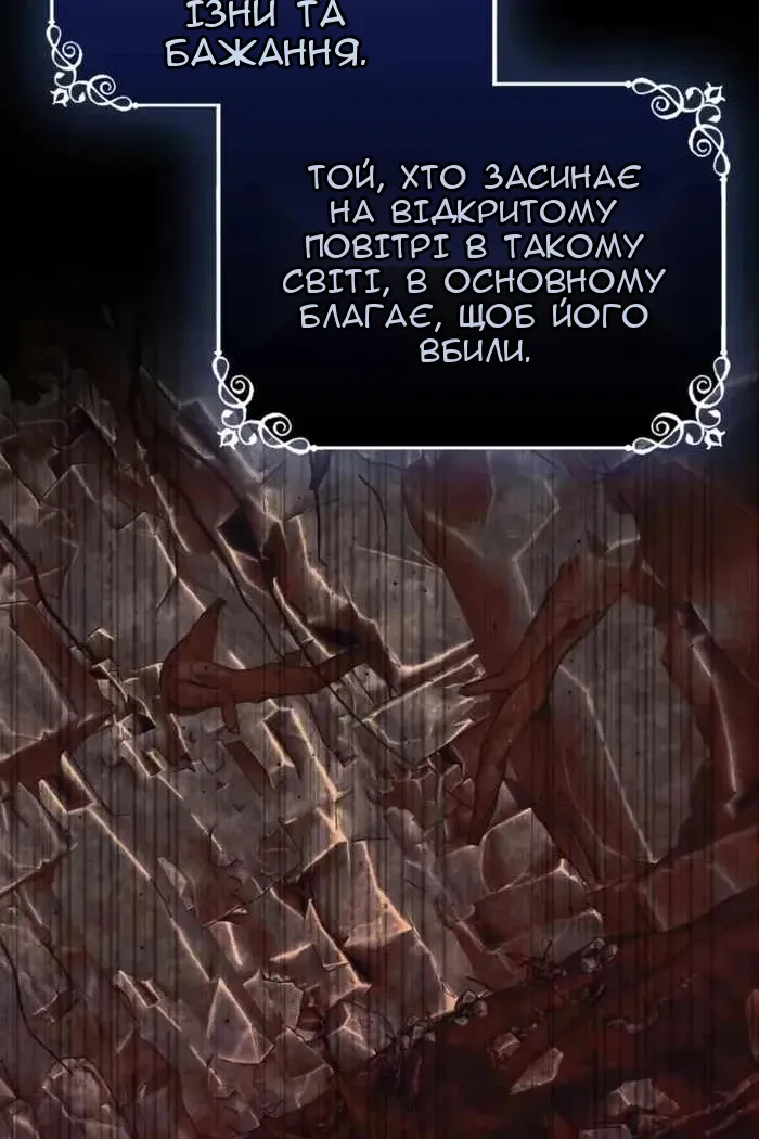 Сторінка 29