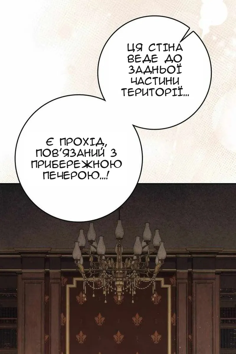 Сторінка 41