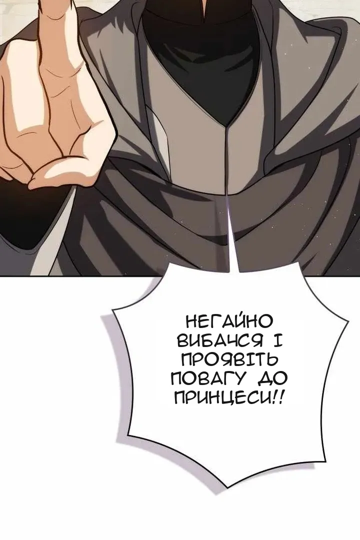 Сторінка 29